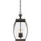 Quoizel Oasis 3-Light Medici Bronze Mini Pendant OAS1509Z - alternate 2